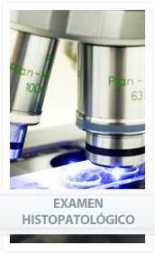 Patología